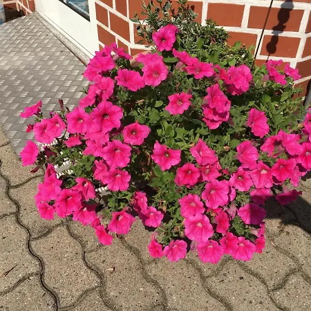 Luisenhof Tangermünde