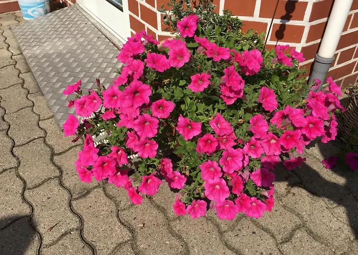 Luisenhof Tangermünde